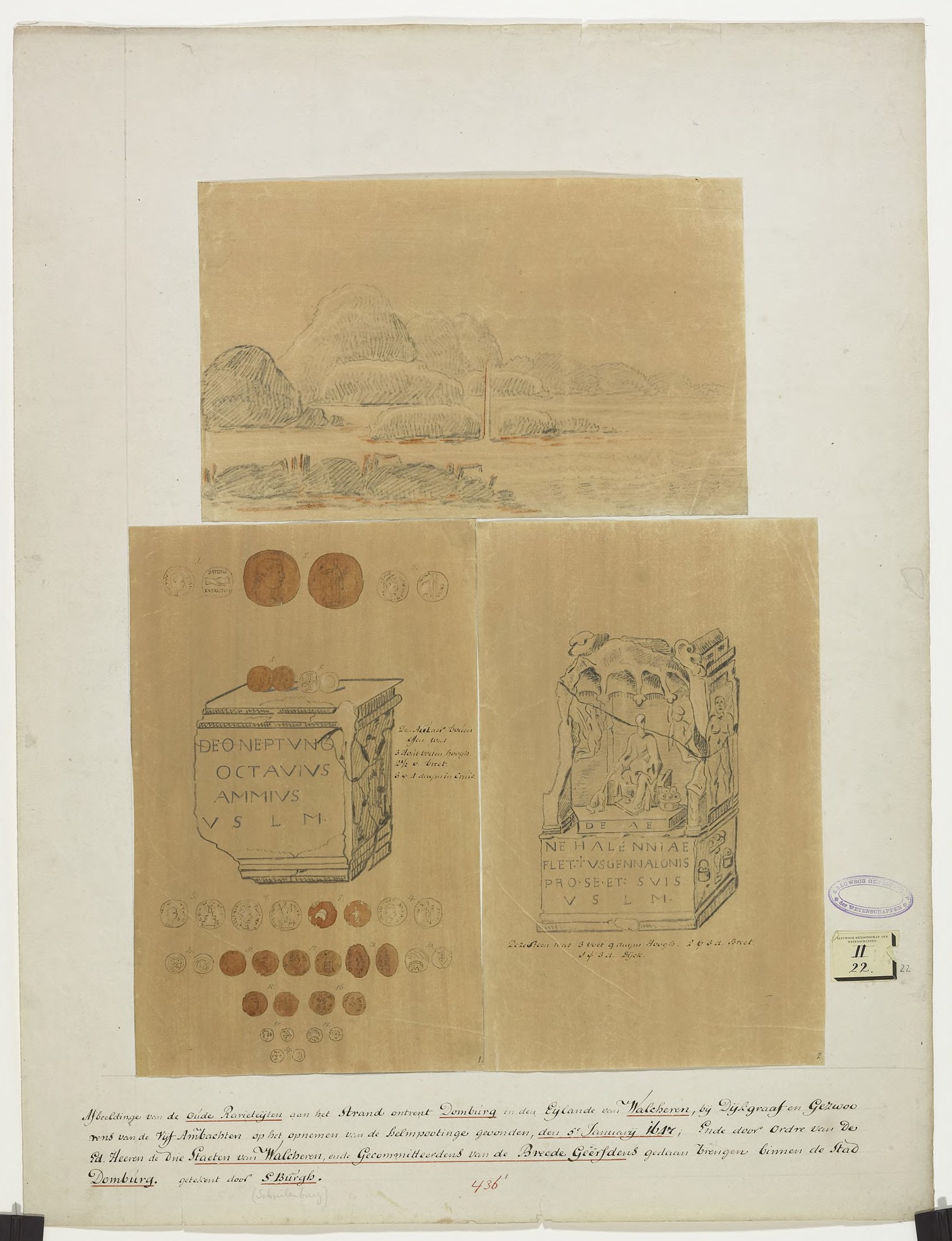 Zelandia Illustrata III 436-1-2